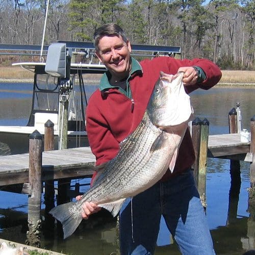 Fisherman proudly holding giant striped bass